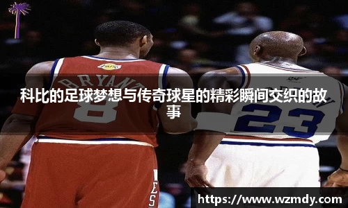 球速体育登录入口